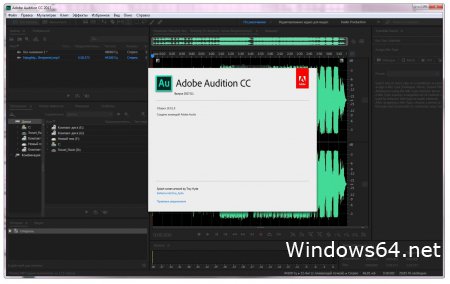 Adobe Audition CC 2017 10.0 1.8 rus (diakov)
