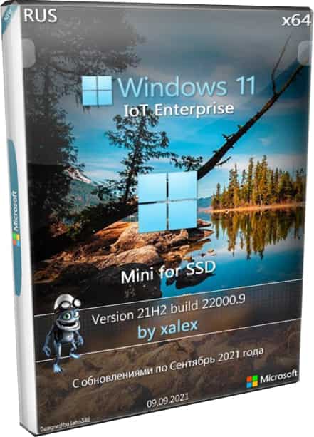Windows 11 64bit на SSD Enterprise 22000.9 mini